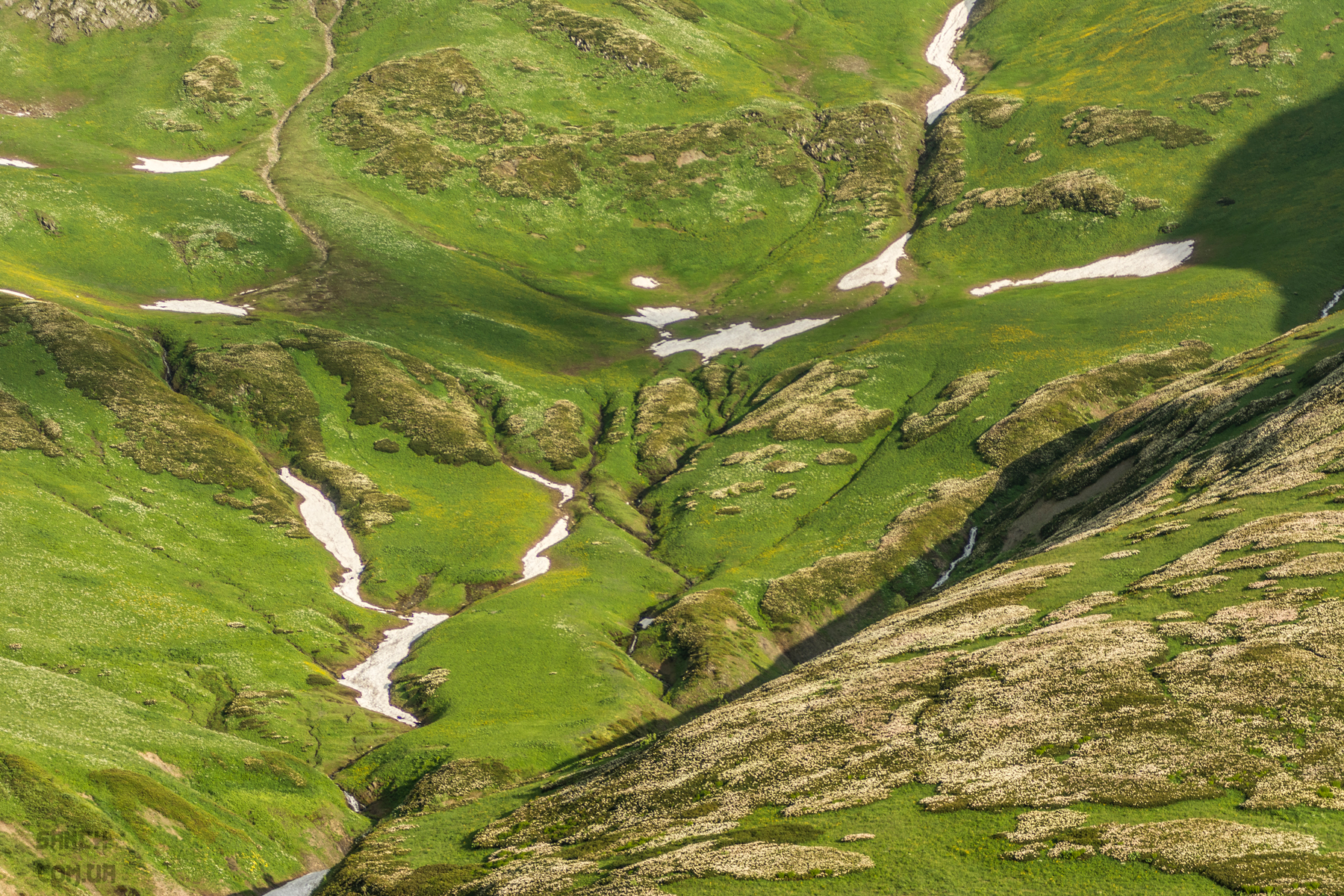 _DSC7990ww