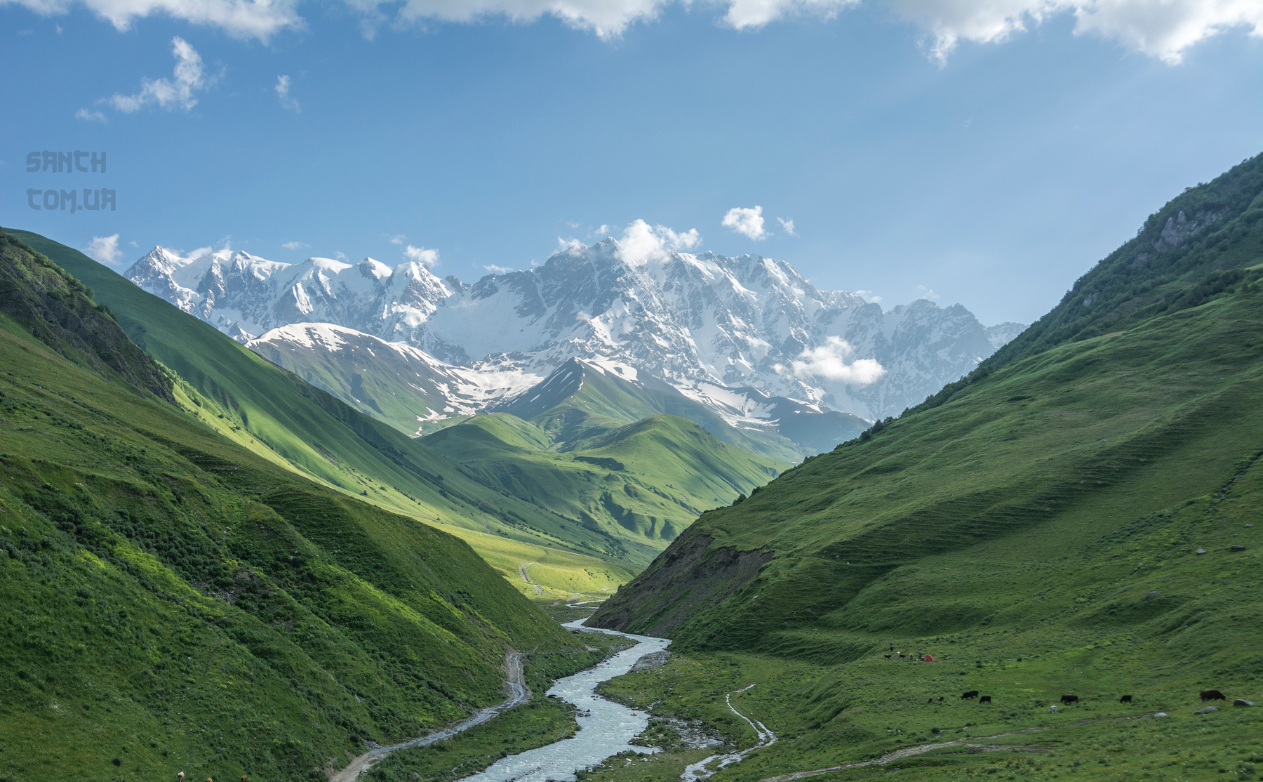 _DSC8040ww
